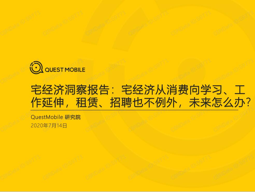 2020宅经济洞察报告
