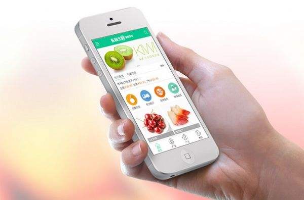 成都APP开发公司